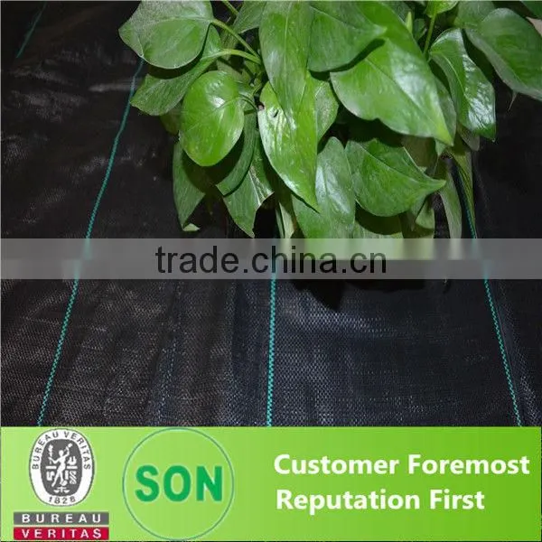 Plastic weed mat