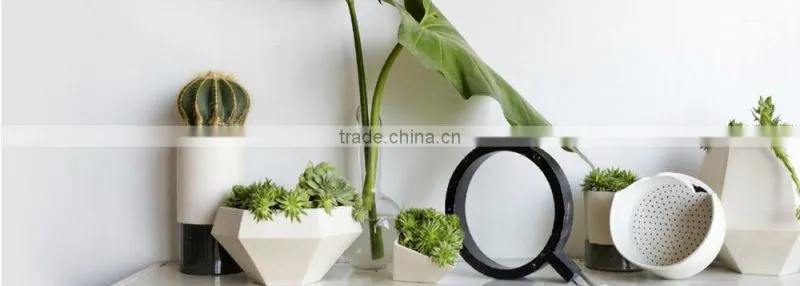 Home decor glass tube concrete or cement garden flower pot