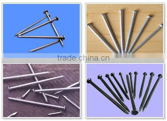 concrete steel nails/galvanized concrete nails/concrete anchor nails