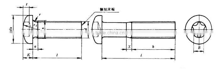 OEM ISO14583 8-32 Torx Button Head Titanium Screw