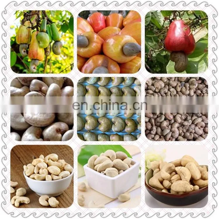 cashew nut boiler/High Quality Automatic Cashew Shelling Machine Price/Ce-approved Cashew Nut Peeling Machine