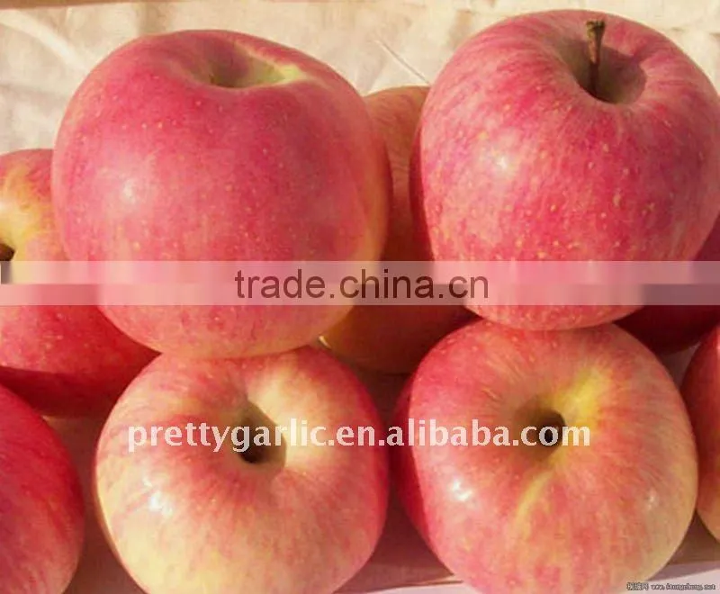 fresh red Fuji apple
