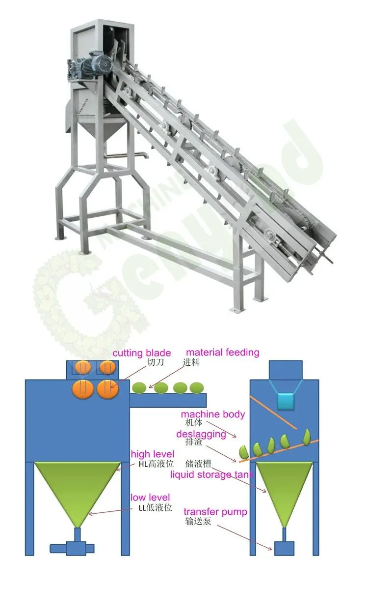 Coconut Processing Green Coconut Half Cutting Machine