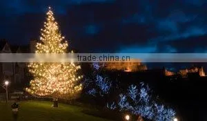 10meter 100leds Led string ligthing/Christmas light /holiday light