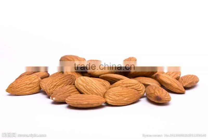 2016hot sale sweet almond