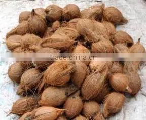 natural coconut for sale