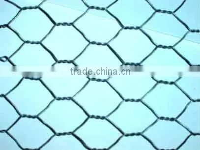 hex mesh