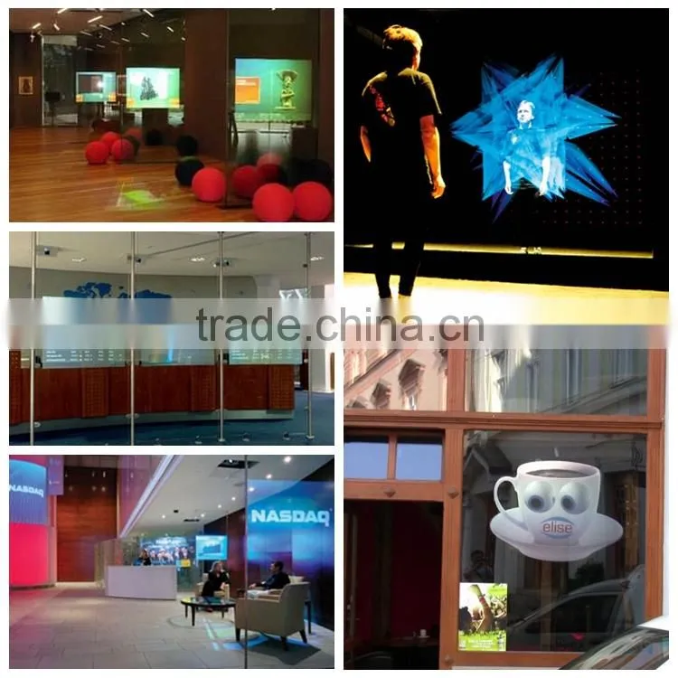 holographic vinyl film