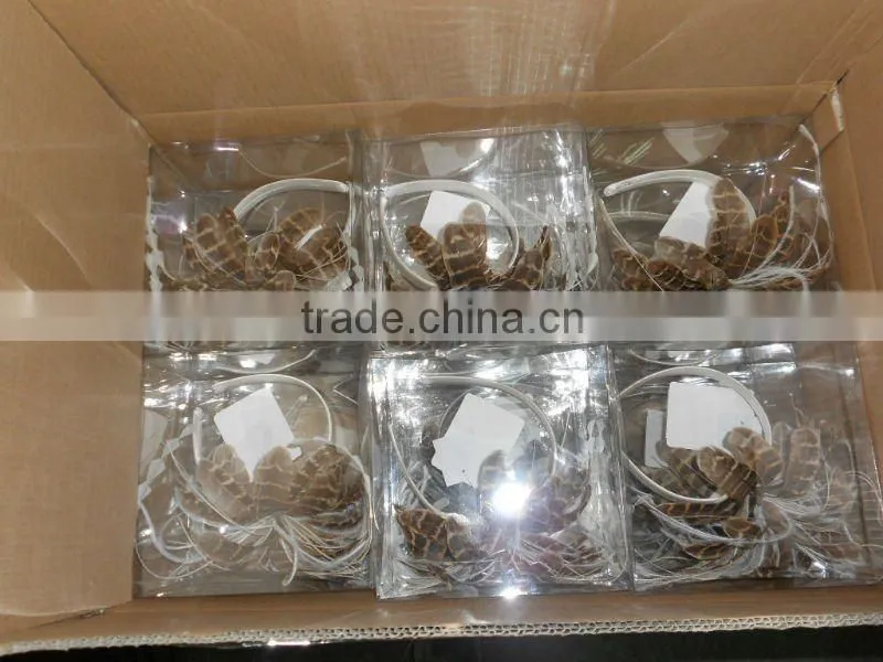 Ladies wholesale hair accessories sinamay base hair fascinators