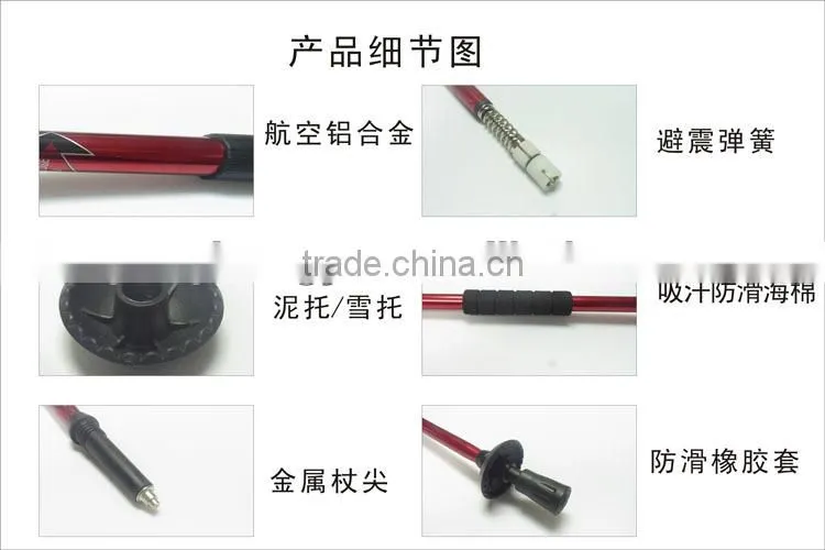 Multi-function electronic torch stick with FM radio