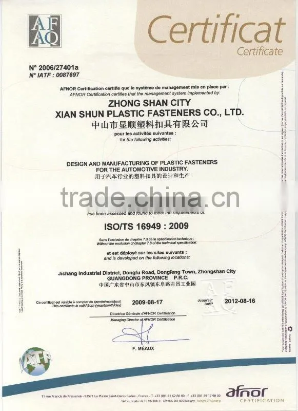 Plastic Rivet Auto Fastener