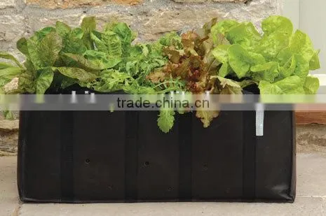 Environmental Friendly PE Salad Growing Bag,Reusable Salad Planter Bags,Salad Planters