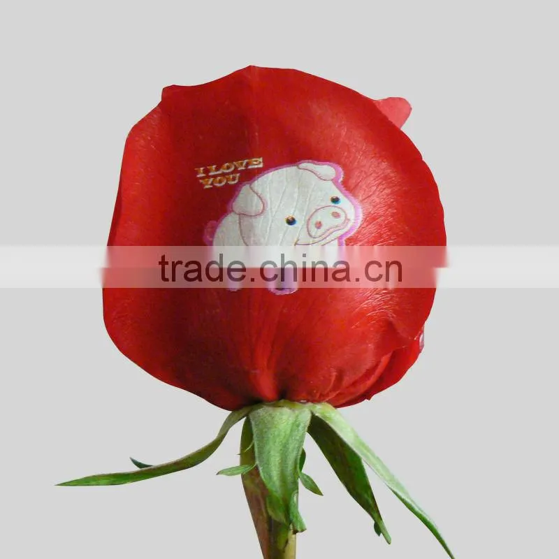 Digital Flower Printer
