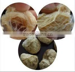 Soybean Protein Production Line With CE Certification