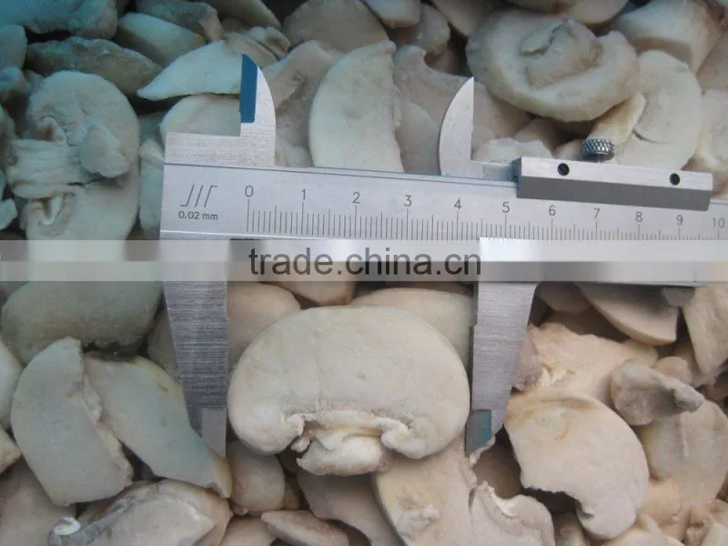 IQF Frozen Champignon Mushroom From China