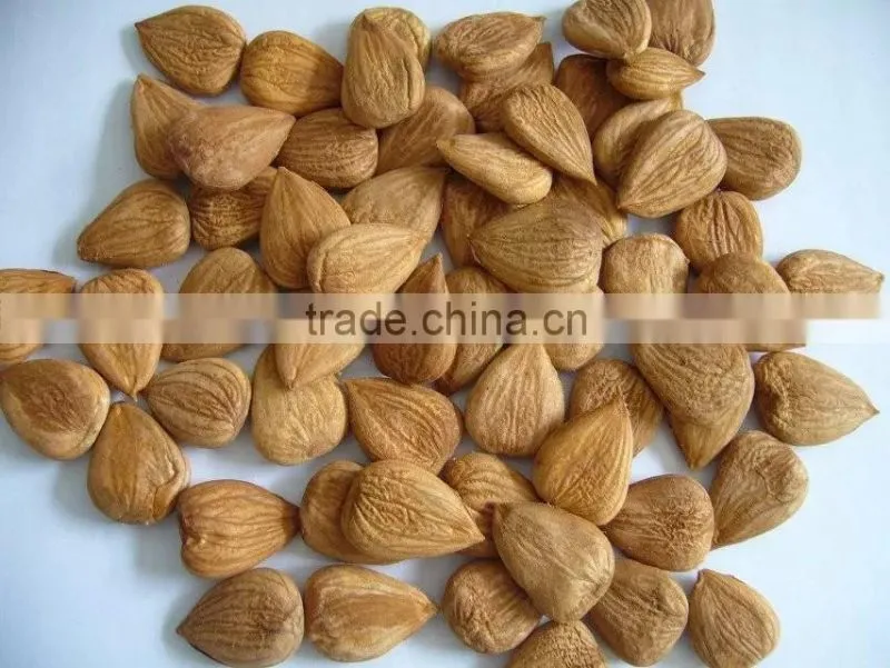 Longwang Bulk Sweet Apricot Kernels for Sales