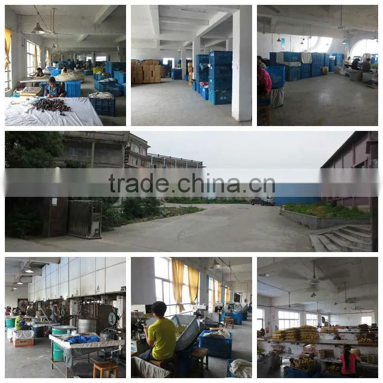 vinyl toy wholesale