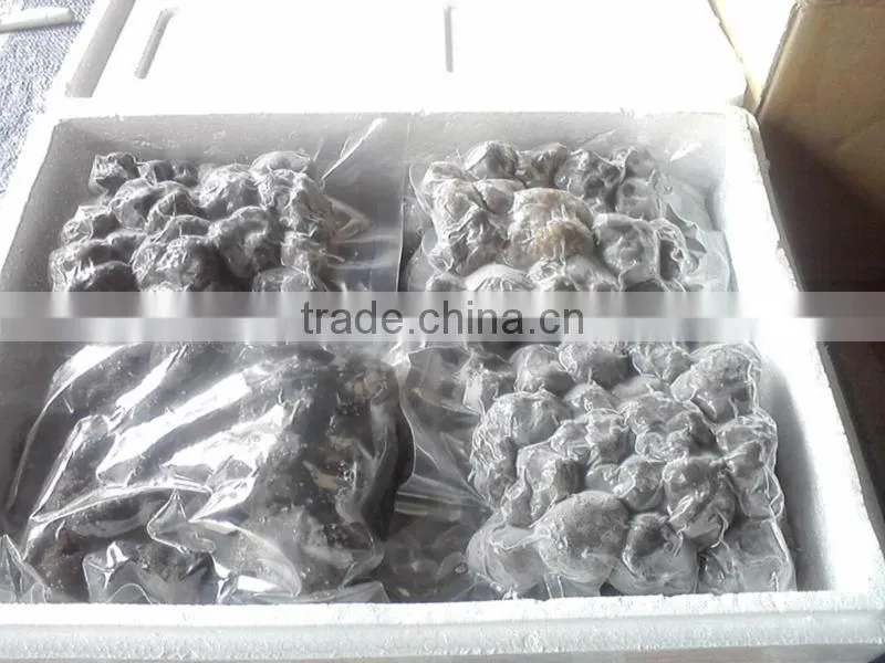 frozen whole truffle