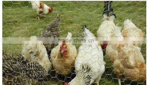 hexagonal wire mesh fence