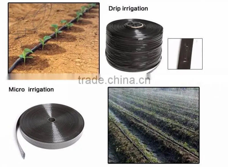 Manufacture price patch type drip irrigation tape