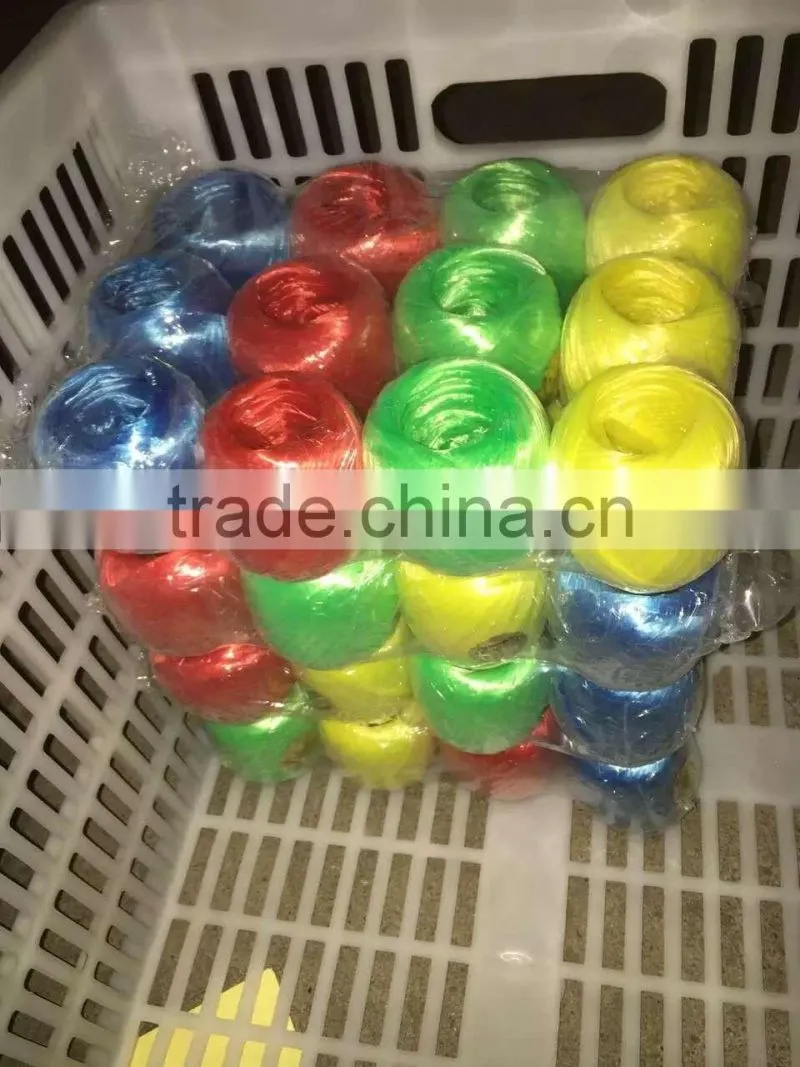 PP packing rope for Malaysia market from Dongtalent