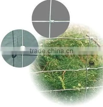 Hot Dipped Galvanized Grassland Fence(SGS Factory)