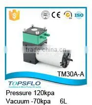 Micro diaphragm brushless 12v 24v dc compressed air analyzer pump