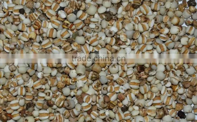 Best Sale Grain Color Sorter Machine For Cumin/Cardamom/Myotonin Color Sorting