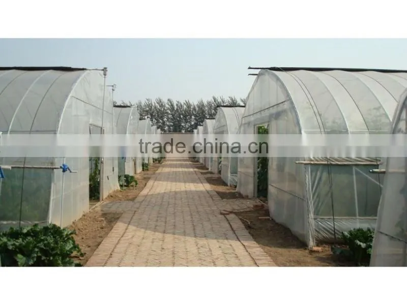Galvanized Steel Frame Agricultural Greenhouse For Sale