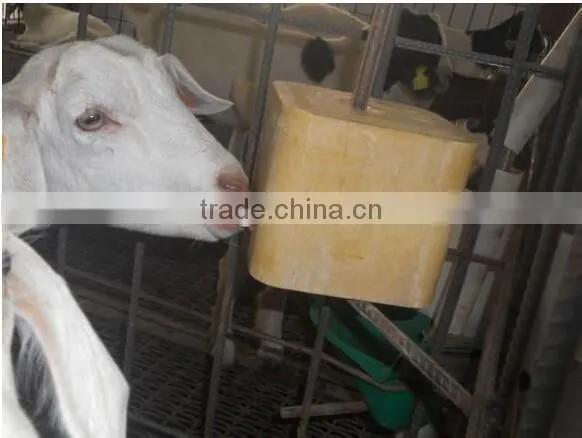 cattle licks block