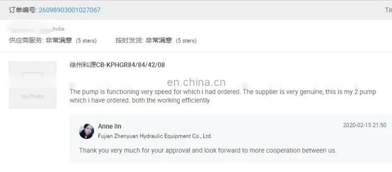 Trade assurance replace Rexroth A2FFE series A2FE180/61W-VVAL010 hydraulic piston motor