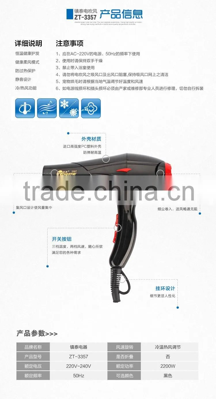 Ionic Hair Dryer Salon Equipment Cold and Hot Air Blower Dryer