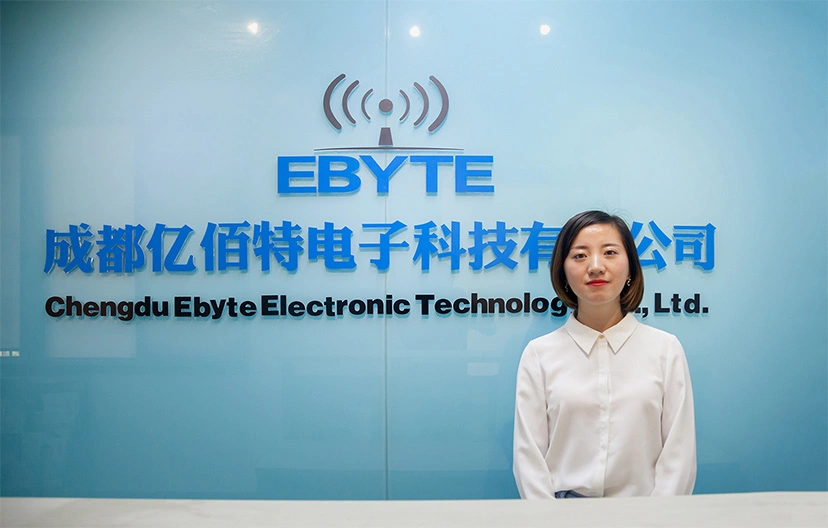 Chengdu Ebyte Electronic Technology Co., Ltd company overview - view 1