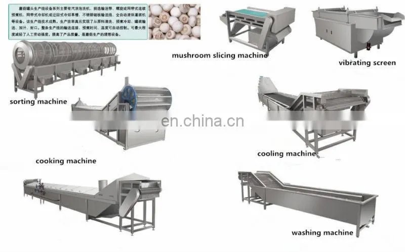 canned mushroom production line