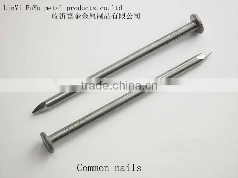 high quality and low price polished wire nail made in China supplier