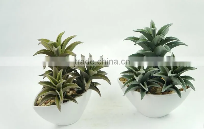 Environmental Artificial Aloe Bonsai For Decoration