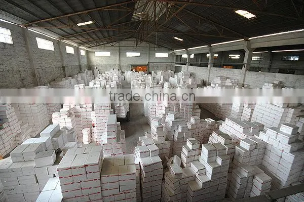 8x25cm Listello border tile