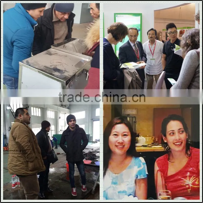China Hot Ash Vacuum Cleaner Ash Collector