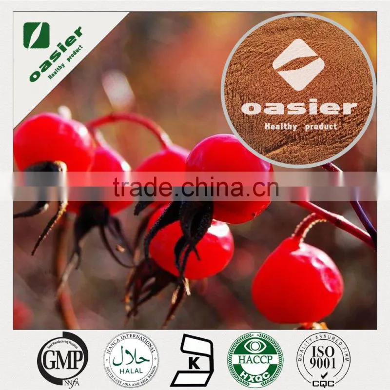 100% natural flavor Rose Hip fruit powder Fruit Juice Powder