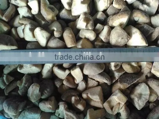 IQF frozen shiitake mushrooms