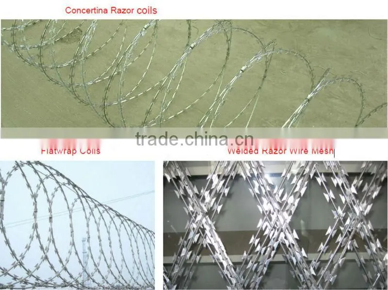 Wholesales professional coiled cheap security razor wire