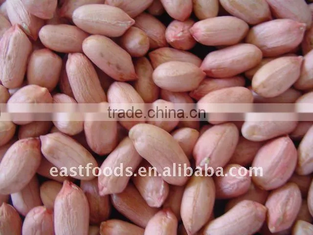 2014 crop Shandong peanut kernels with good quality