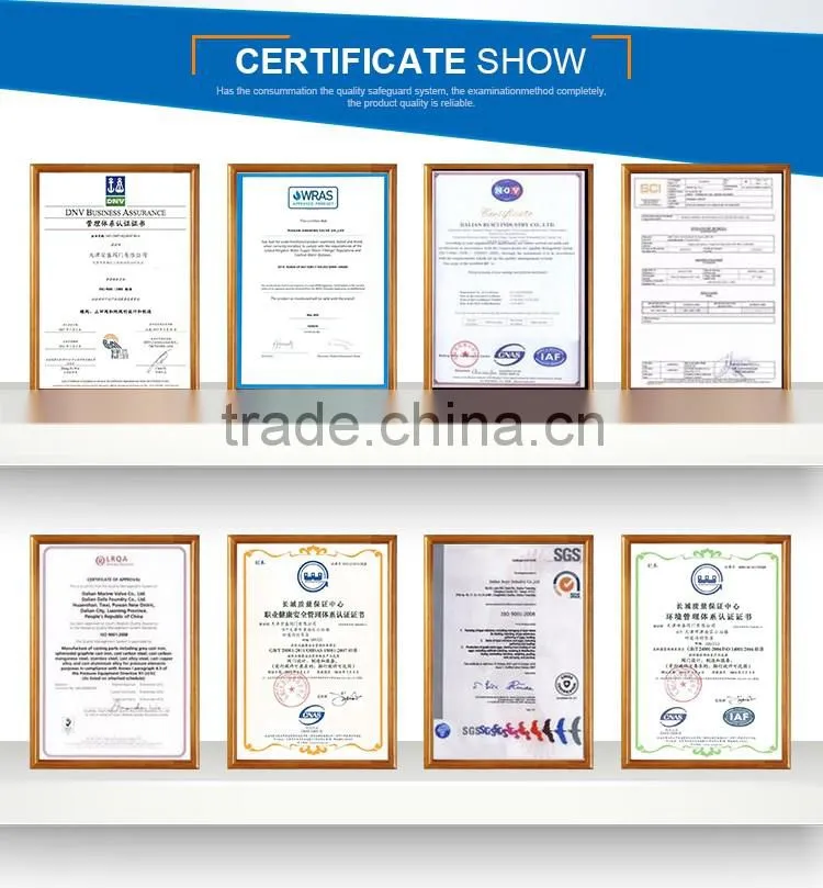 CWX-15N Electric Stainless Steel Ball Valve