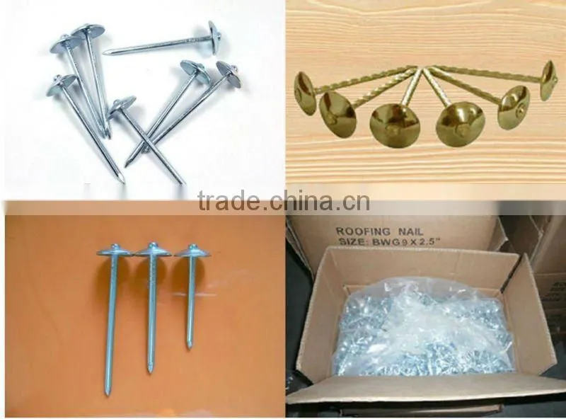 9gauge galvanized twist shank umbrella head roofing nail