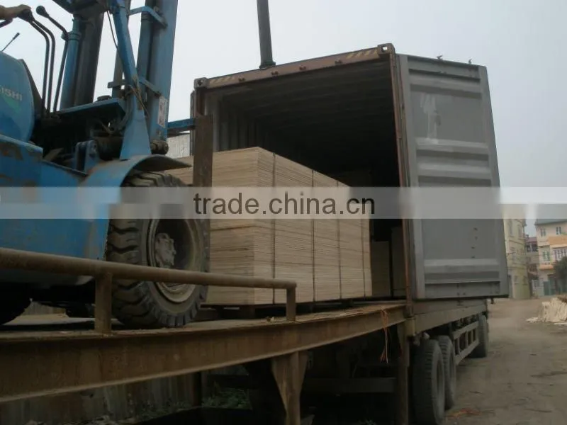 Keruing face & back plywood