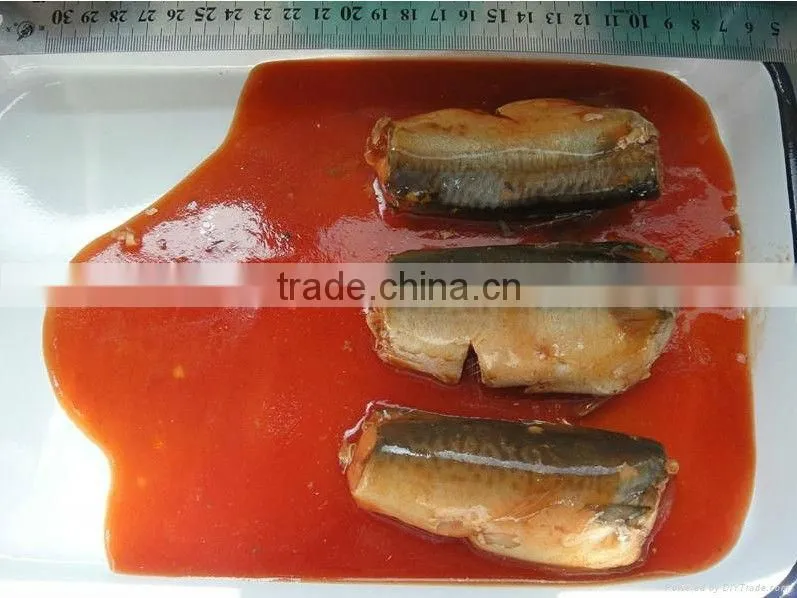 canned mackerel in chili