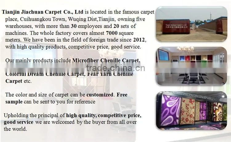 polyester chenille microfiber cheap indoor mat