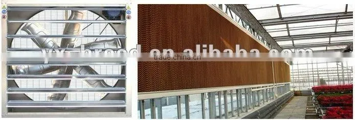 Poultry Feed line system