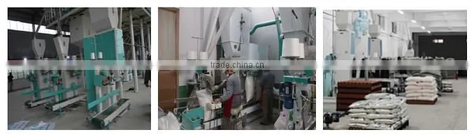 Low price 10T/24H wheat flour milling machines / wheat flour mill plant with price