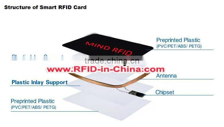 Wholesale/Retail RFID Loyalty Card PVC/PET/Paper Smart Cards for Access Control System